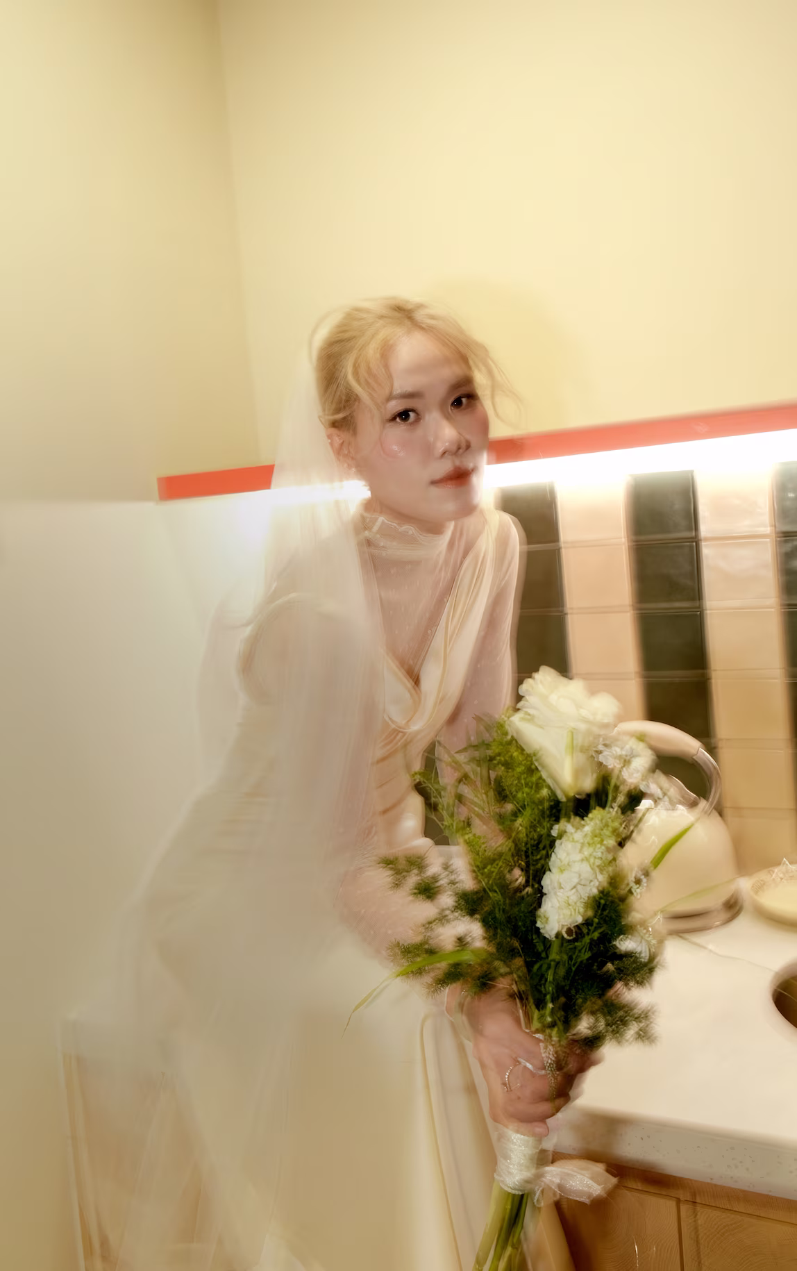 Fig. 1 — Structure